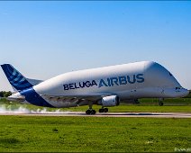 A300B4-600ST Beluga landing in Finkenwerder The Airbus A300B4-600ST Beluga super freighter airplane for outsized cargo transport is landing on runway 23 in Hamburg Finkenwerder EDHI.