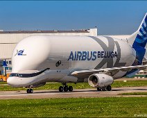 Airbus A330-743L Beluga XL after landing in Hamburg Finkenwerder The Airbus A330-743L Beluga XL super freighter airplane for outsized cargo transport is landing on runway 05 in Hamburg Finkenwerder EDHI.