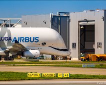 Airbus A330-743L Beluga XL before offloading in Hamburg Finkenwerder The Airbus A330-743L Beluga XL super freighter airplane for outsized cargo transport before offloading in Hamburg Finkenwerder EDHI.