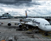 Lufthansa Airbus A380 800 Brüssel at Frankfurt Airport