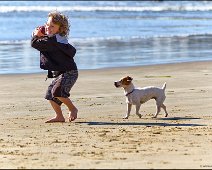 Morro Bay Beach Catch The Ball Morro Bay Beach Catch The Ball