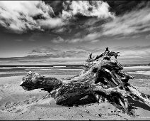 Oregon Rockaway Beach